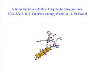 Link to streaming video showing simulation of peptide EKYLRT